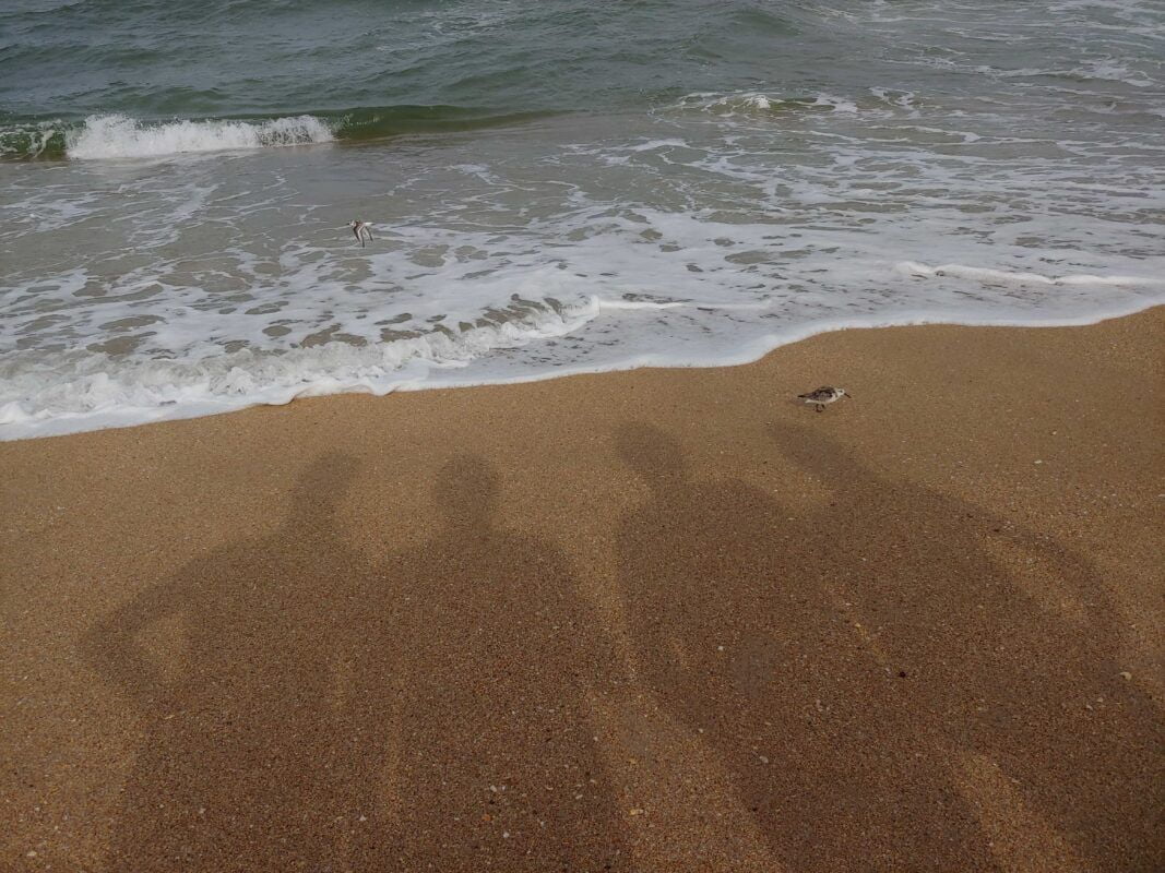 Apollo beach nude beach